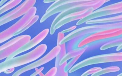 OpenAI fa un passo indietro: l’update ritirato dopo 72 ore