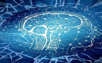 Le nuove strategie di sviluppo AI: più tecniche di addestramento che dimensioni dei modelli