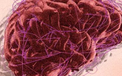 Perché tutti nel campo dell’intelligenza artificiale parlano di modelli mondiali?